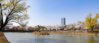 How About a Spring Picnic to the YU Mirror Pond?